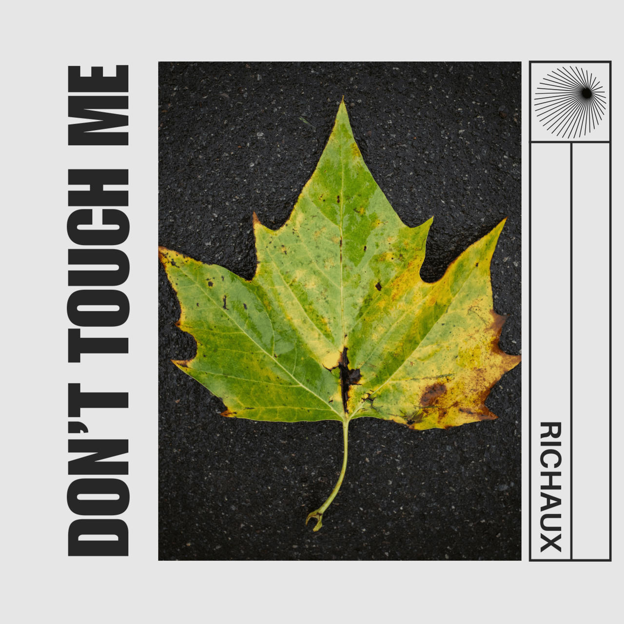 Single, natural, green maple leaf
