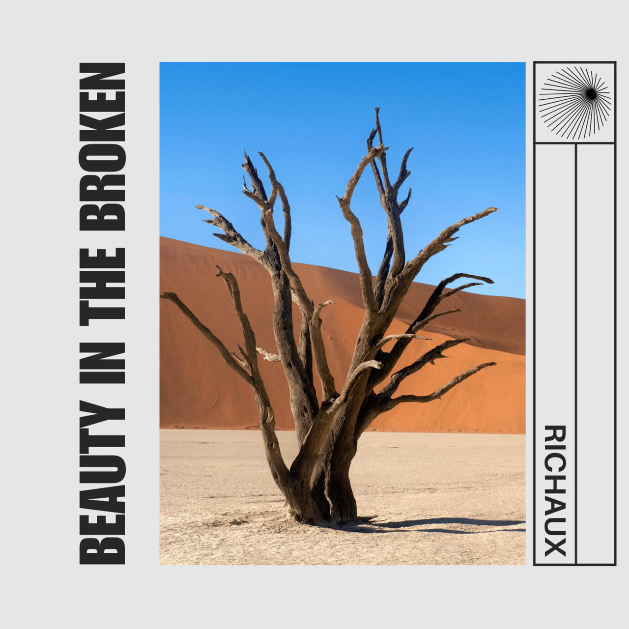 Stumpy tree in a desert, bright background